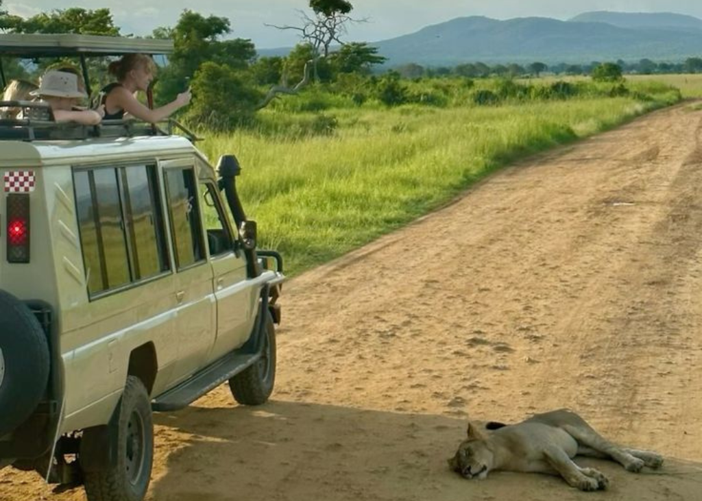 Game viewing in Uganda - Uganda gorilla tours
